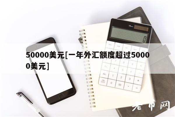 50000美元[一年外汇额度超过50000美元]