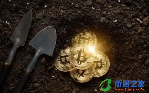 全球数字货币交易平台_交易所平台币都有哪些