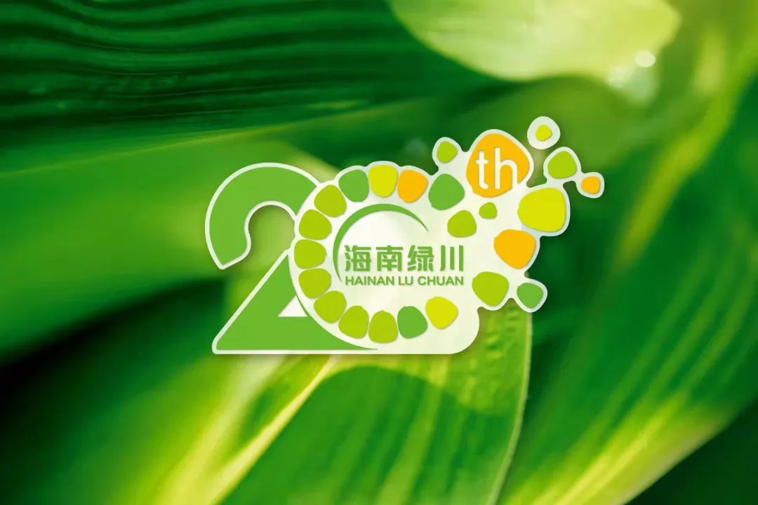 玉米深加工加盟办厂（鲜玉米加工厂加盟）