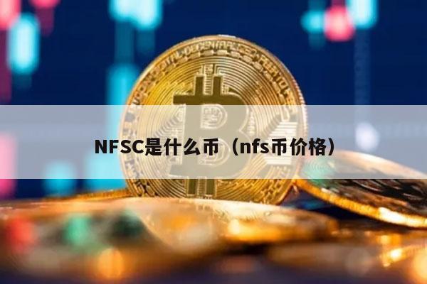 NFSC是什么币（nfs币价格）