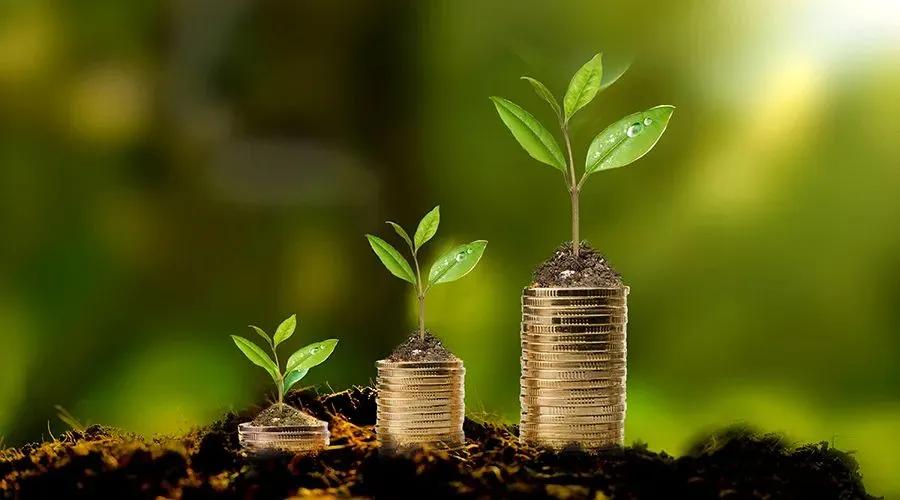 基金指数的特点（指数类基金的特点）