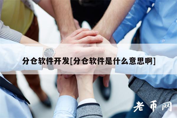 分仓软件开发[分仓软件是什么意思啊]