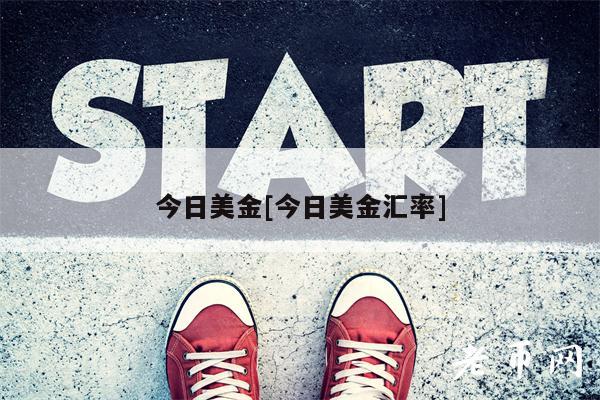 今日美金[今日美金汇率]