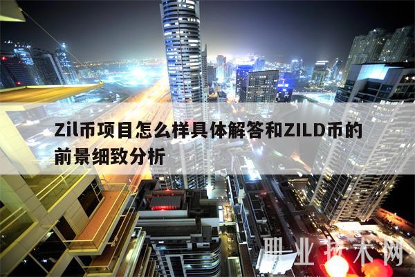 Zil币项目怎么样具体解答和ZILD币的前景细致分析