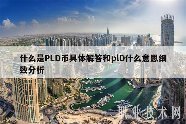 什么是PLD币具体解答和plD什么意思细致分析