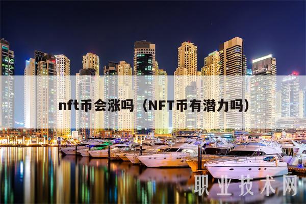 nft币会涨吗（NFT币有潜力吗）