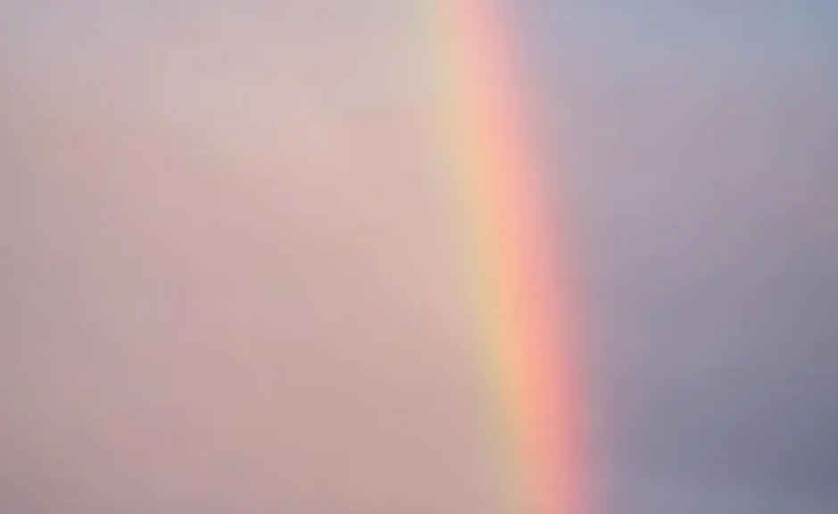 理财如何买基金最划算（基金理财买什么好）