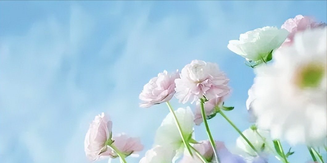 欠款太多如何走出困境（欠款多怎么样从困境中走出）