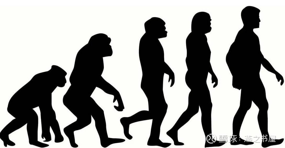 基金股票入门基础知识书籍（股票基金入门知识的书）