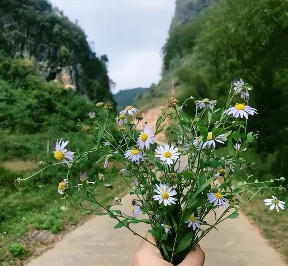 欠款太多如何走出困境（欠款多怎么样从困境中走出）