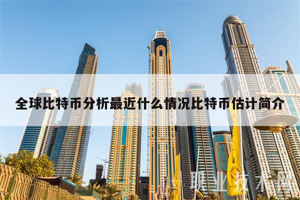 全球比特币分析最近什么情况比特币估计简介