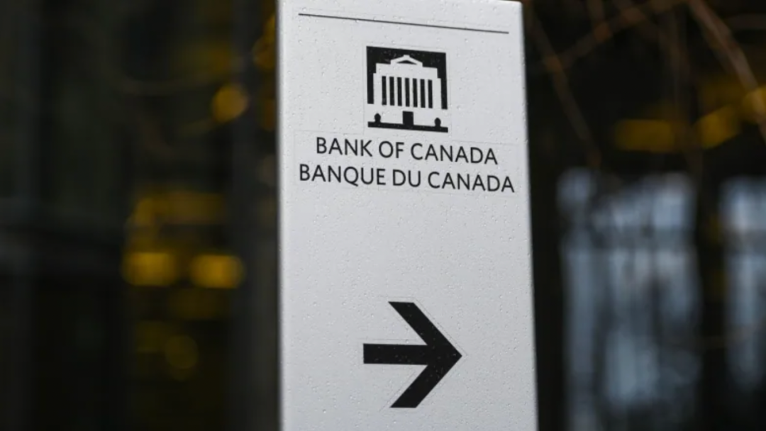 加币走势（加币走势分析）