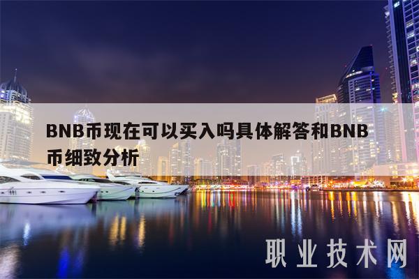 BNB币现在可以买入吗具体解答和BNB 币细致分析