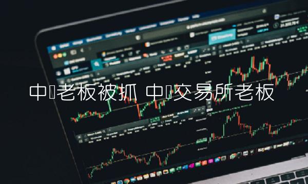 中币交易所老板插图 中币交易所老板