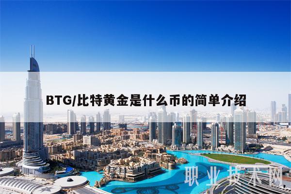 BTG／比特黄金是什么币的简单介绍
