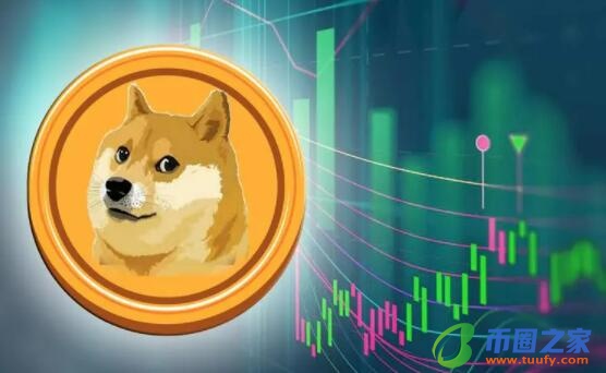 屎币实时走势图(屎币行情走势图)