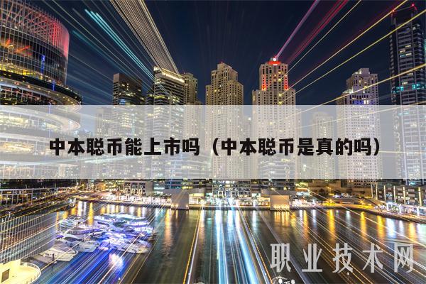 中本聪币能上市吗（中本聪币是真的吗）