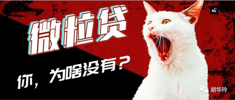 我的微信上怎么没有微粒贷（我的微信里面怎么没有微粒贷）