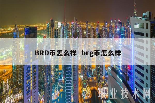 BRD币怎么样_brg币怎么样