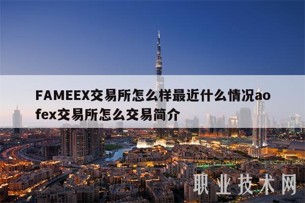 FAMEEX交易所怎么样最近什么情况aofex交易所怎么交易简介