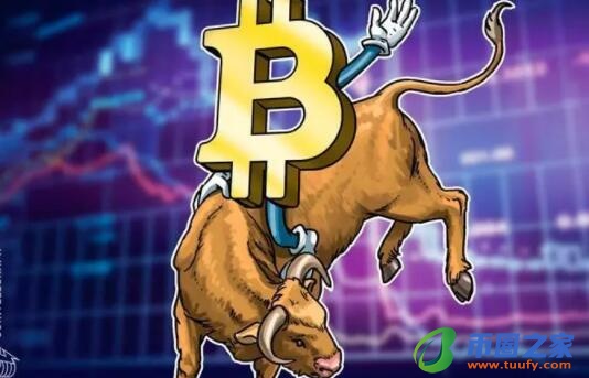 在哪买比特币的软件_比特币跟单交易平台