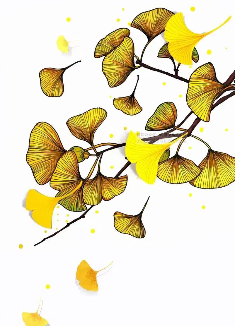 新手怎样选指数基金（怎么选好的指数基金）1