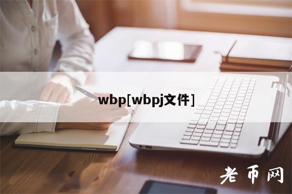 wbp[wbpj文件]