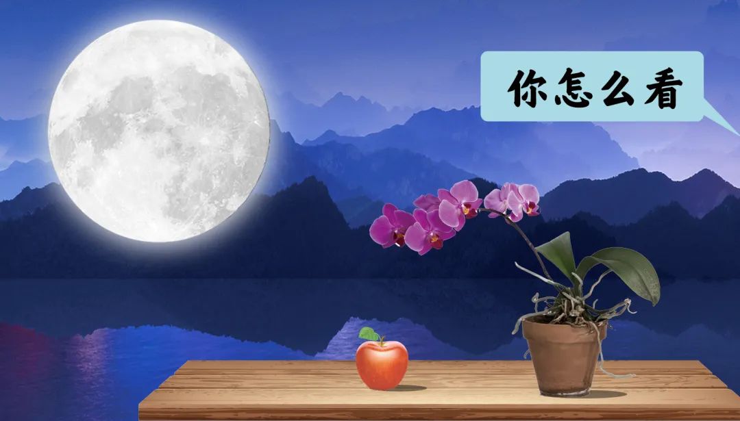 股票训练营期末考试（股票训练营毕业考试题）