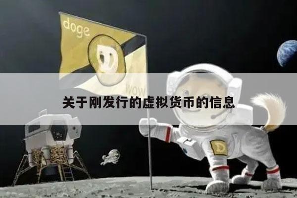 关于刚发行的虚拟货币的信息