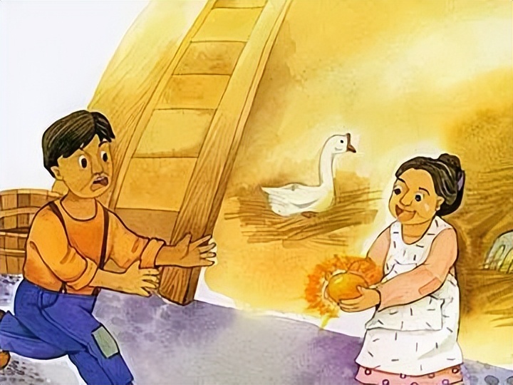 基金理财入门必备知识书籍（基金理财入门必备知识书籍有哪些）