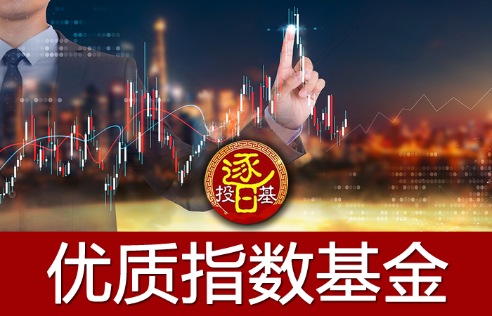 新手基金买多少合适（基金新手买入多少钱合适）