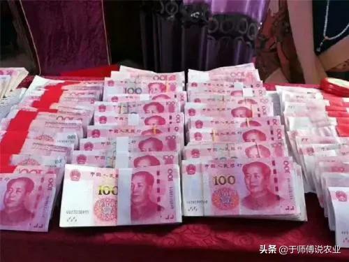 大姜价格最新价格（大姜大姜价格）