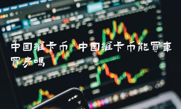 中国维卡币能买车买房吗