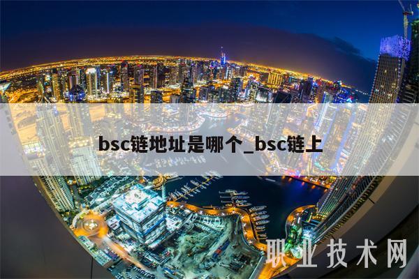 bsc链地址是哪个_bsc链上
