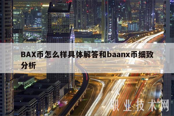 BAX币怎么样具体解答和baanx币细致分析