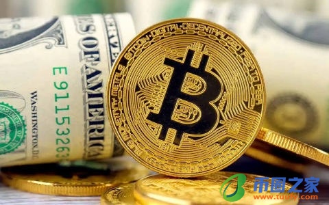 国内比特币平台_比特币走势用什么软件