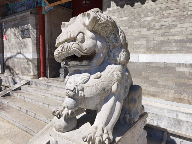 p40pro华为参数（华为p40pro参数表）27