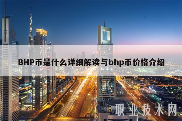 BHP币是什么详细解读与bhp币价格介绍
