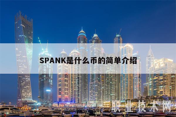 SPANK是什么币的简单介绍