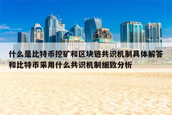 什么是比特币挖矿和区块链共识机制具体解答和比特币采用什么共识机制细致分析