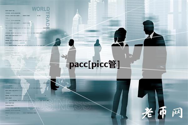 pacc[picc管]