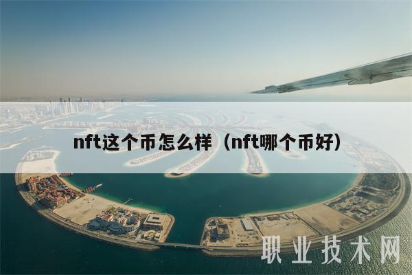 nft这个币怎么样（nft哪个币好）