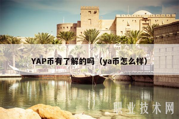 YAP币有了解的吗(ya币怎么样)