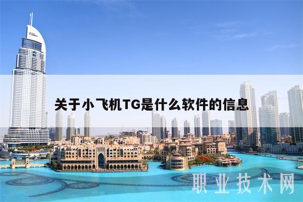 关于小飞机TG是什么软件的信息