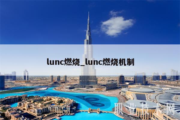 lunc燃烧_lunc燃烧机制