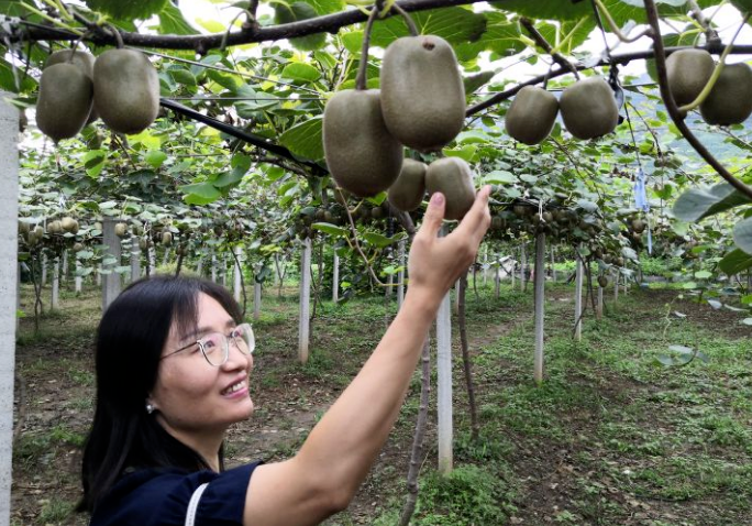 源泉生态果园在哪里（源泉科技产业园）