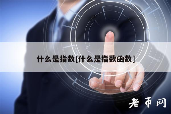 什么是指数[什么是指数函数]