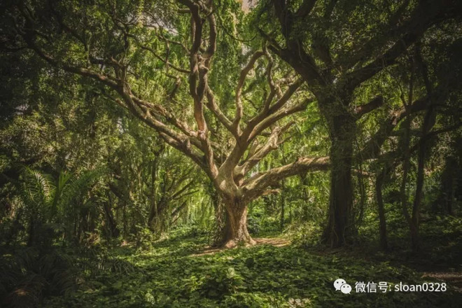 如何选股知乎（股票论坛哪个最好知乎）