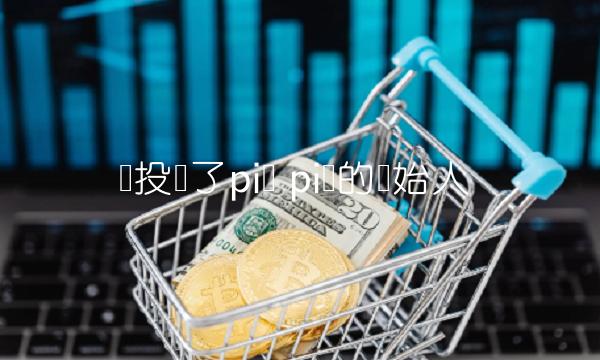 谁投资了pi币