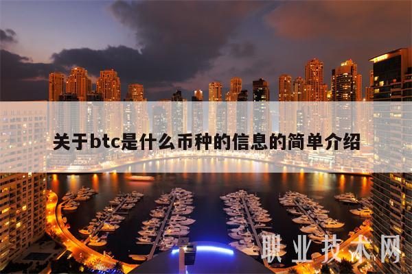 关于btc是什么币种的信息的简单介绍